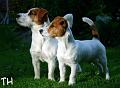 Arska & Inka